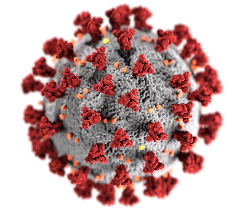 Info Icon